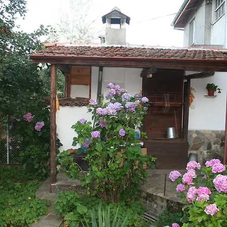 Guest house Todorova House